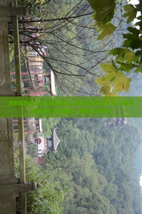 酒泉到四川乐山大佛五日游