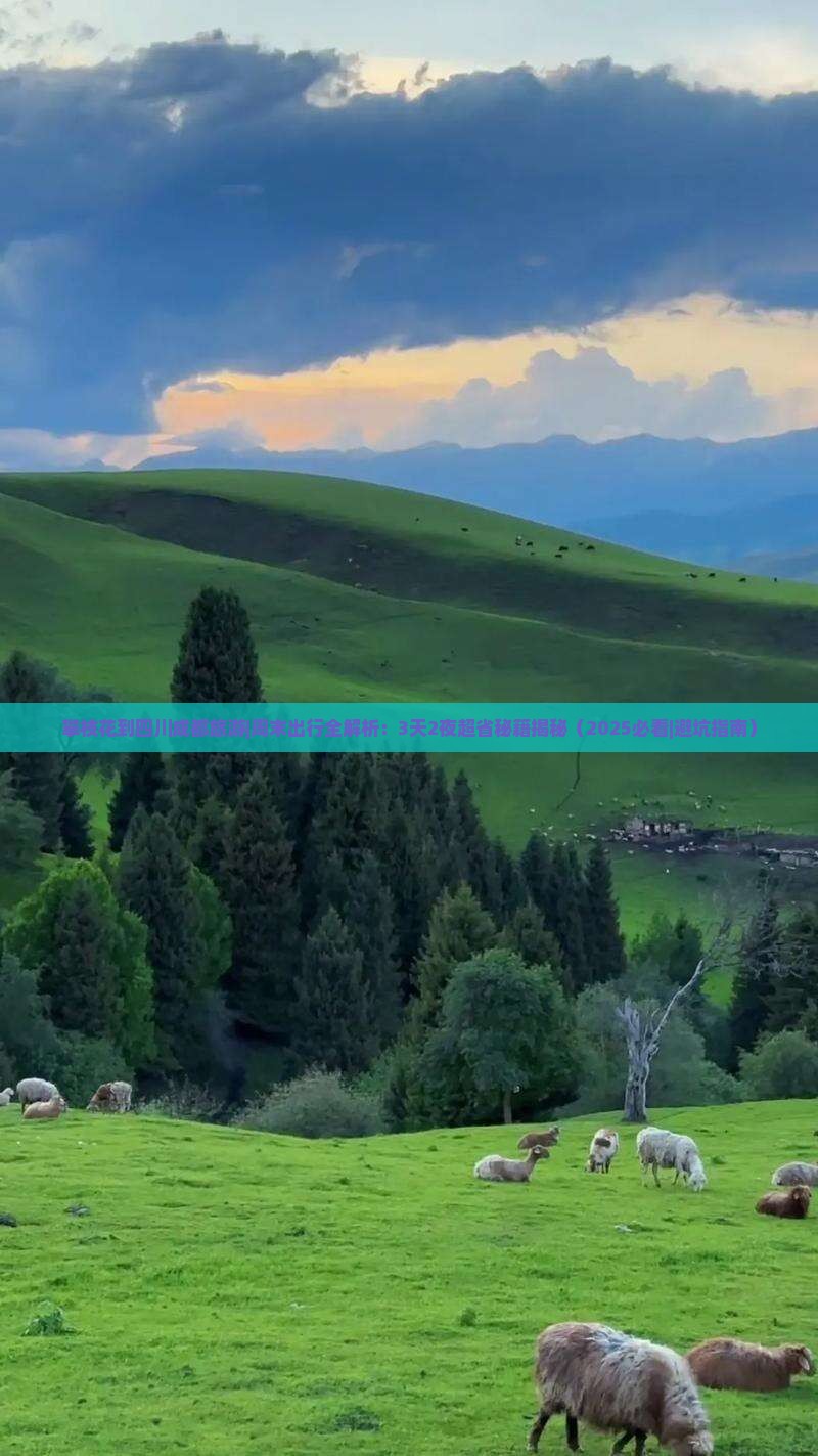攀枝花到四川成都旅游