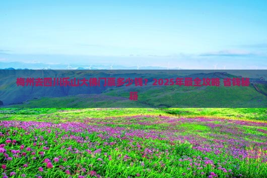 梅州去四川乐山大佛门票 梅州去四川乐山大佛门票
