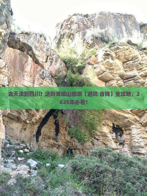 天津去四川青城山旅游 天津去四川青城山旅游