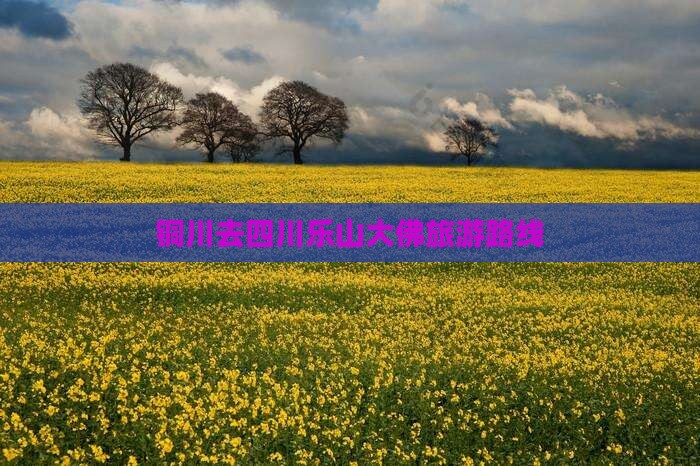 铜川去四川乐山大佛旅游