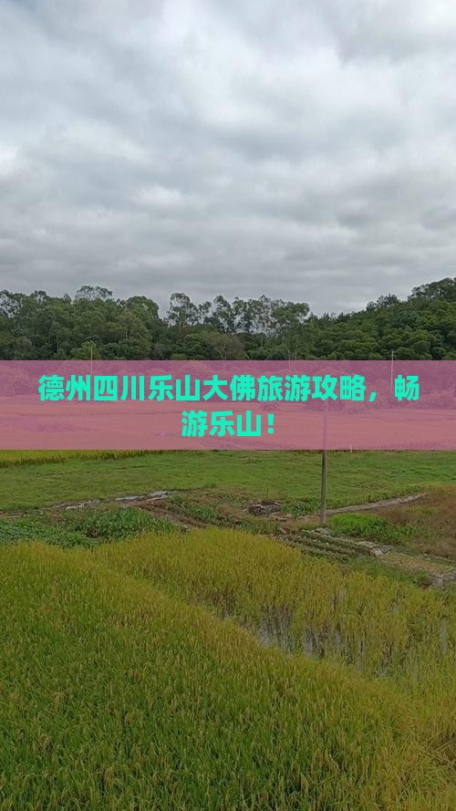 德州去四川乐山大佛旅行社