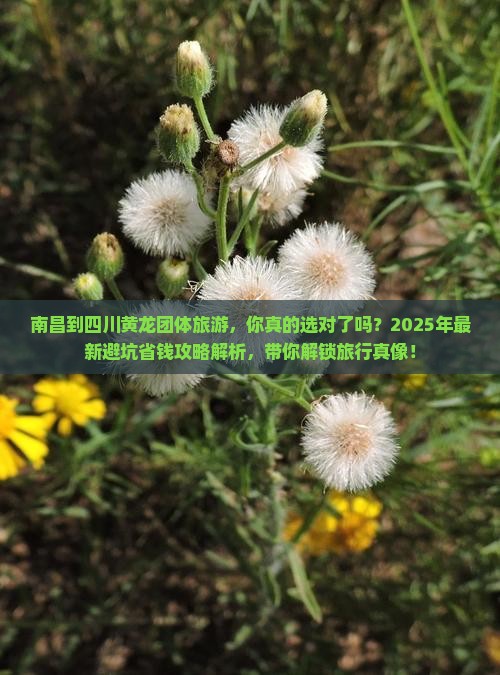 南昌到四川黄龙团体旅游