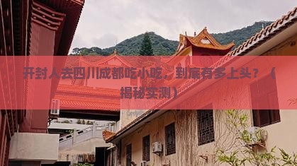 开封去四川成都旅游小吃