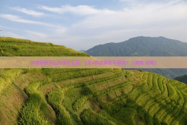 信阳去四川乐山大佛哪里玩