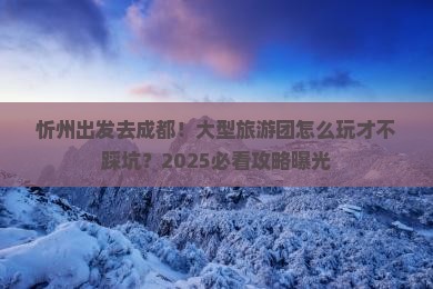 忻州到四川成都大型旅游团