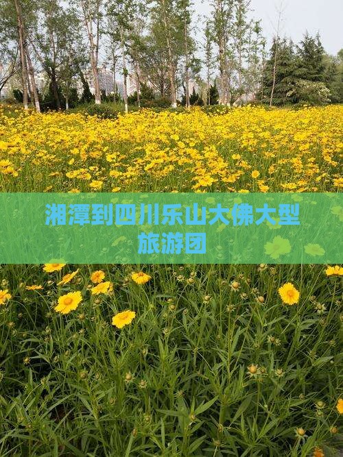 湘潭到四川乐山大佛大型旅游团