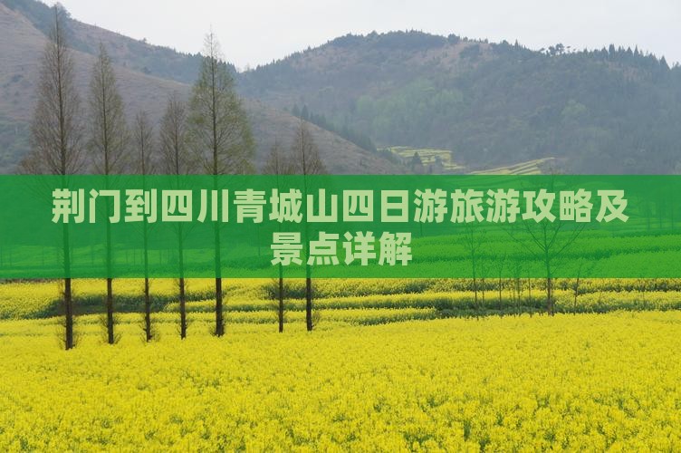 荆门到四川青城山四日游