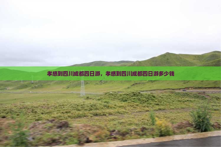 孝感到四川成都四日游