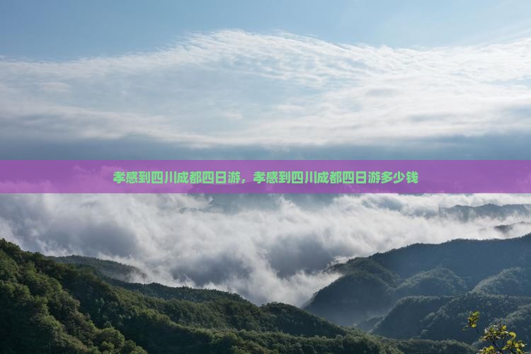 孝感到四川成都四日游