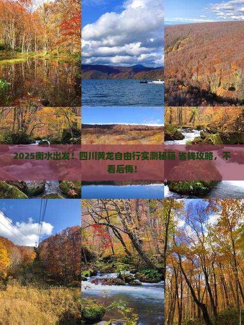 衡水去四川黄龙自由团