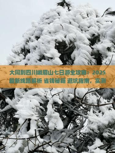 大同到四川峨眉山七日游