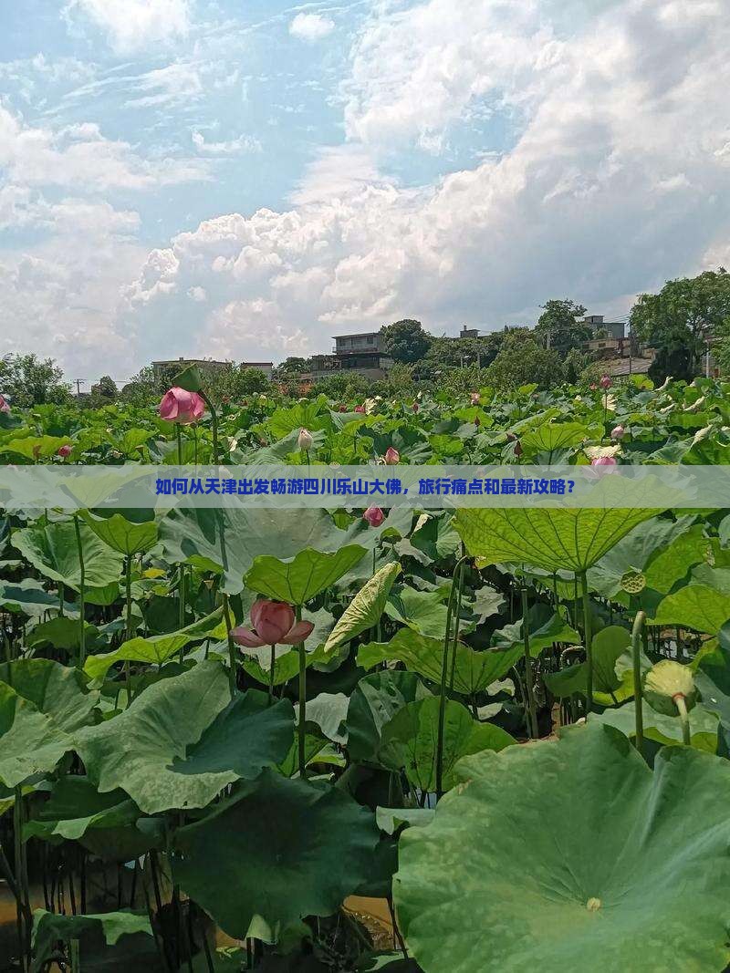 如何从天津出发畅游四川乐山大佛，旅行痛点和最新攻略？