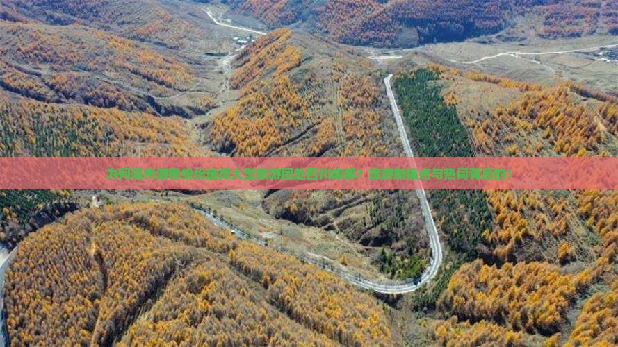 为何亳州游客纷纷选择大型旅游团赴四川成都？旅游新痛点与热词背后的！