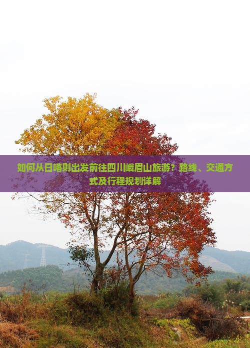 如何从日喀则出发前往四川峨眉山旅游？路线、交通方式及行程规划详解