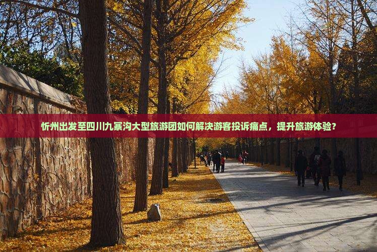 忻州出发至四川九寨沟大型旅游团如何解决游客投诉痛点，提升旅游体验？