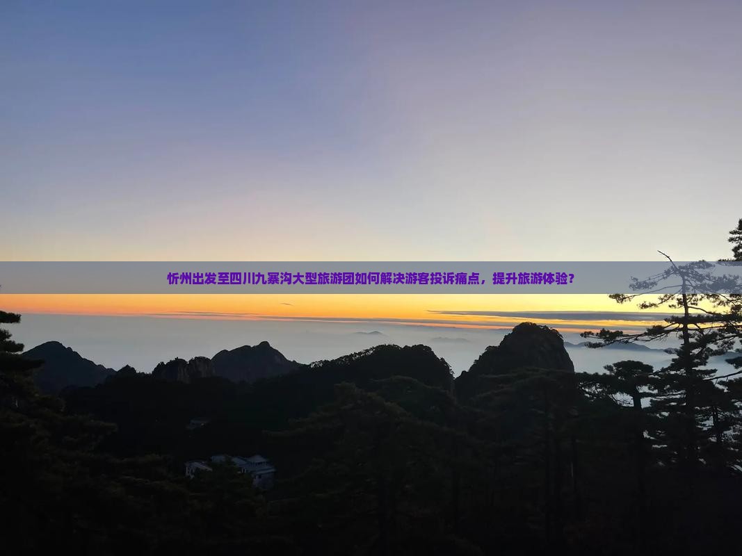 忻州出发至四川九寨沟大型旅游团如何解决游客投诉痛点，提升旅游体验？
