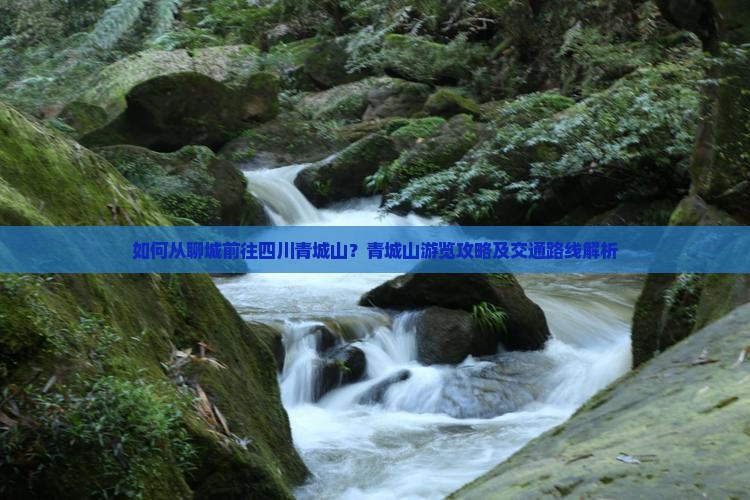 如何从聊城前往四川青城山？青城山游览攻略及交通路线解析