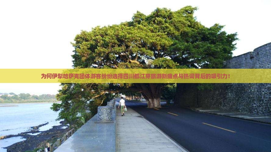 为何伊犁哈萨克团体游客纷纷选择四川都江芽旅游新痛点与热词背后的吸引力！