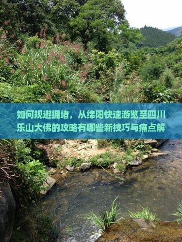 如何规避拥堵，从绵阳快速游览至四川乐山大佛的攻略有哪些新技巧与痛点解决方案？