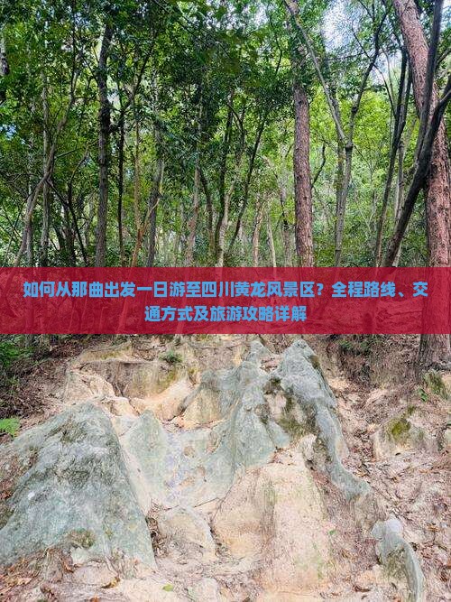 如何从那曲出发一日游至四川黄龙风景区？全程路线、交通方式及旅游攻略详解