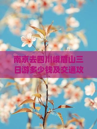 南京去四川峨眉山三日游多少钱及交通攻略