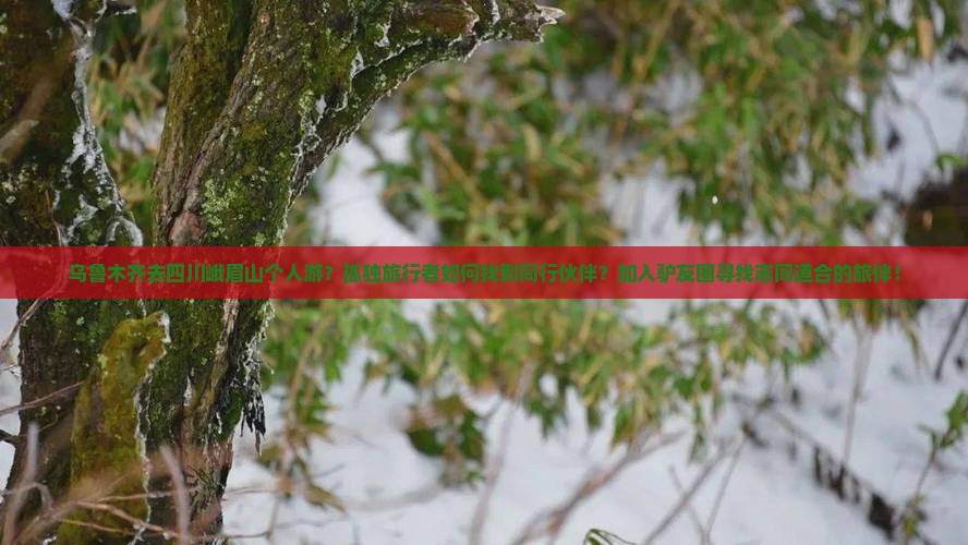 乌鲁木齐去四川峨眉山个人游？孤独旅行者如何找到同行伙伴？加入驴友圈寻找志同道合的旅伴！