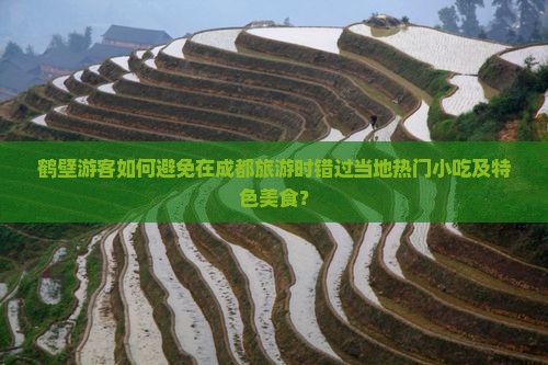鹤壁游客如何避免在成都旅游时错过当地热门小吃及特色美食？