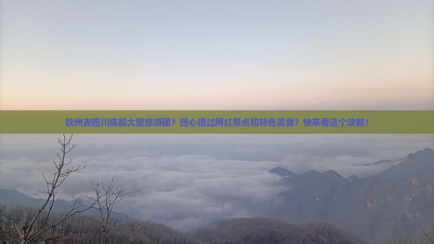 钦州去四川成都大型旅游团？担心错过网红景点和特色美食？快来看这个攻略！