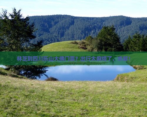 林芝到四川乐山大佛门票？出行太麻烦了，求解！