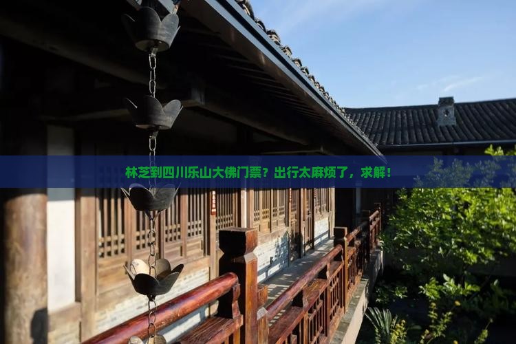 林芝到四川乐山大佛门票？出行太麻烦了，求解！