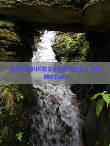 安庆去四川黄龙大型旅游团
