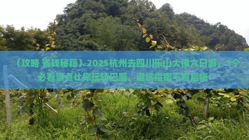 杭州去四川乐山大佛六日游