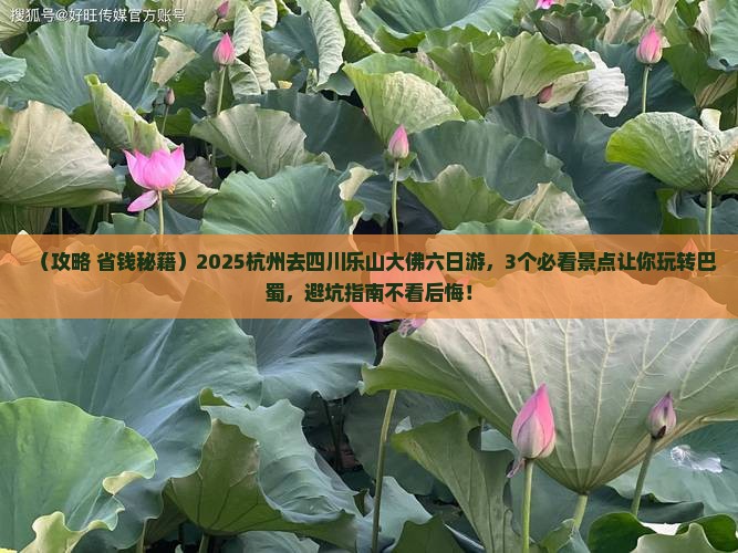 杭州去四川乐山大佛六日游