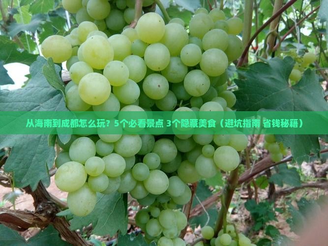 海南去四川成都攻略
