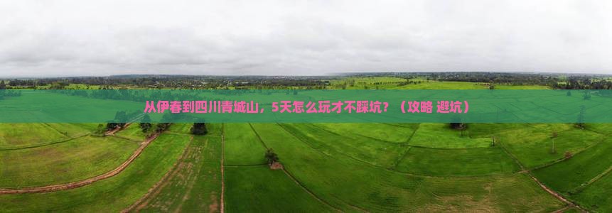 伊春去四川青城山旅行社
