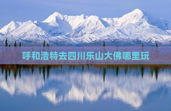 呼和浩特去四川乐山大佛哪里玩