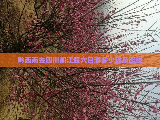 黔西南去四川都江堰六日游