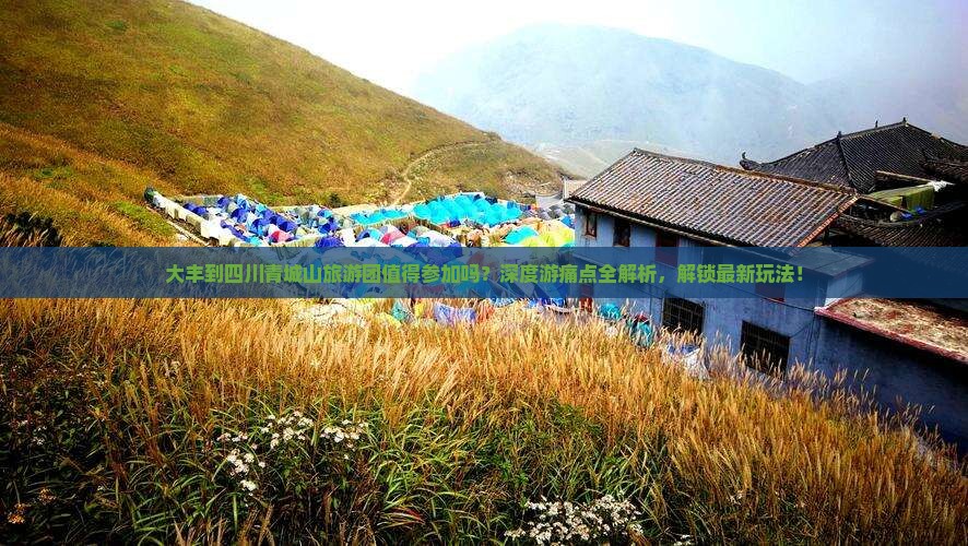 大丰到四川青城山大型旅游团