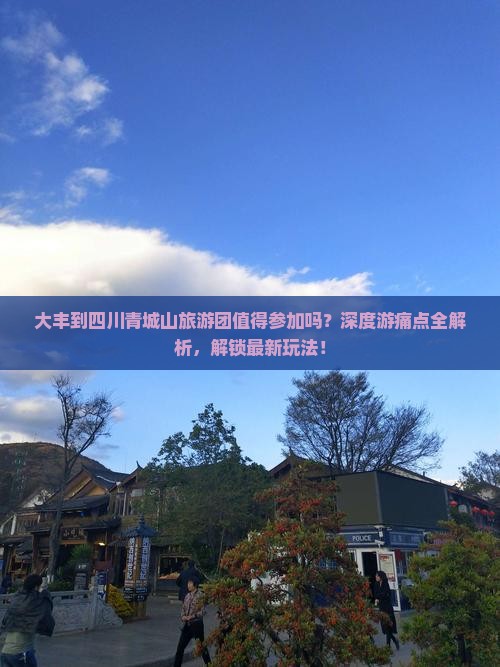 大丰到四川青城山大型旅游团