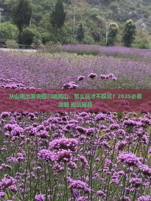 山南去四川峨眉山哪里玩