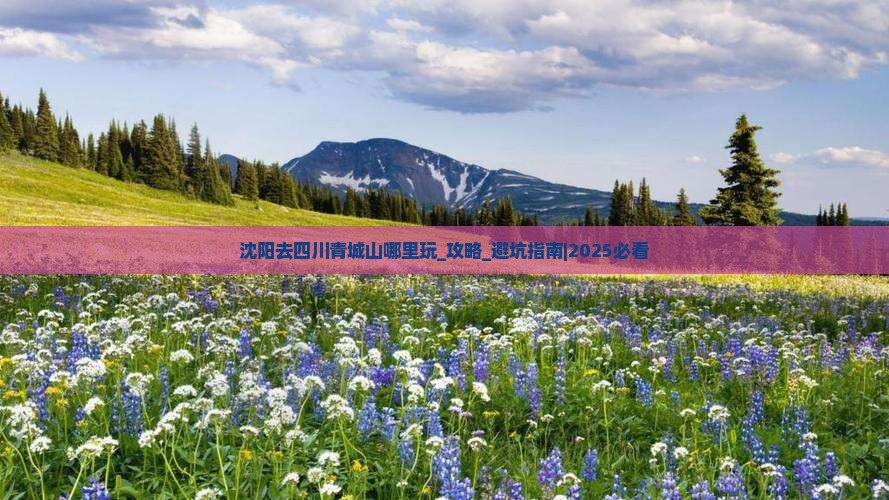 沈阳去四川青城山哪里玩