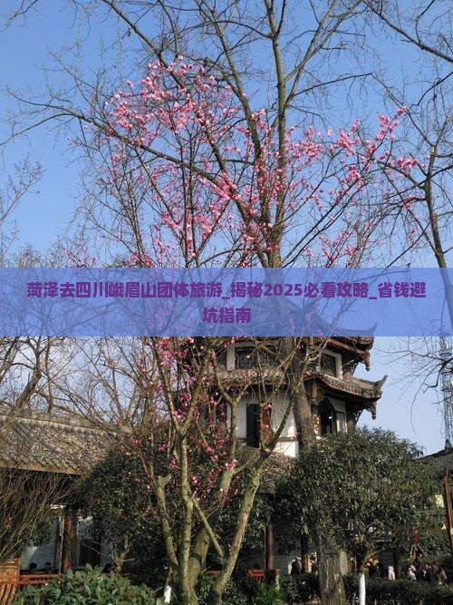 菏泽去四川峨眉山团体旅游