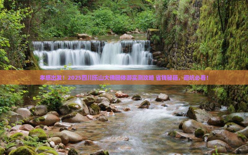 孝感去四川乐山大佛团体旅游