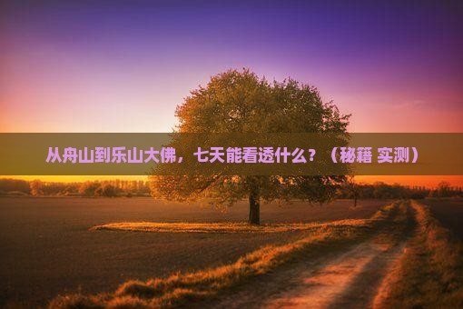 舟山去四川乐山大佛七日游