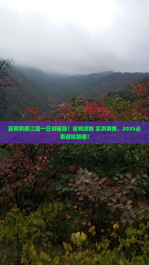 昆明到四川都江堰一日