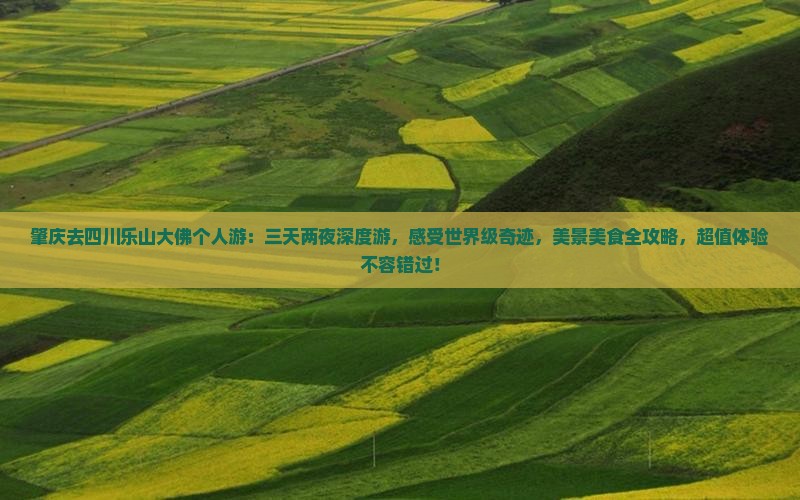 肇庆去四川乐山大佛个人游