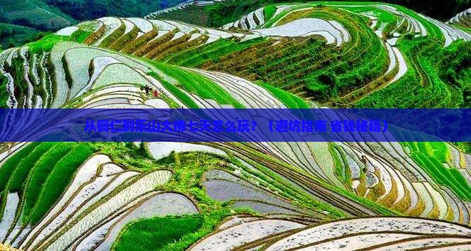 铜仁去四川乐山大佛七日游