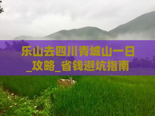 乐山去四川青城山一日