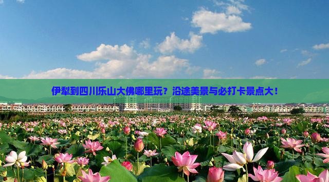 伊犁到四川乐山大佛哪里玩